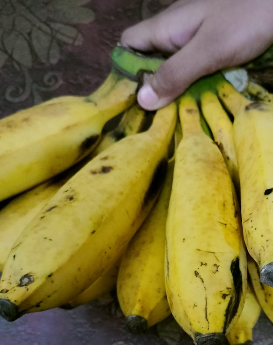 কলা