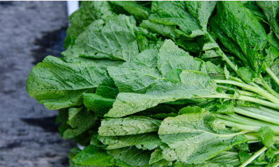 eat green