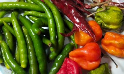 Types of Chili Peppers: A Heat Scale Guide