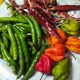Types of Chili Peppers: A Heat Scale Guide