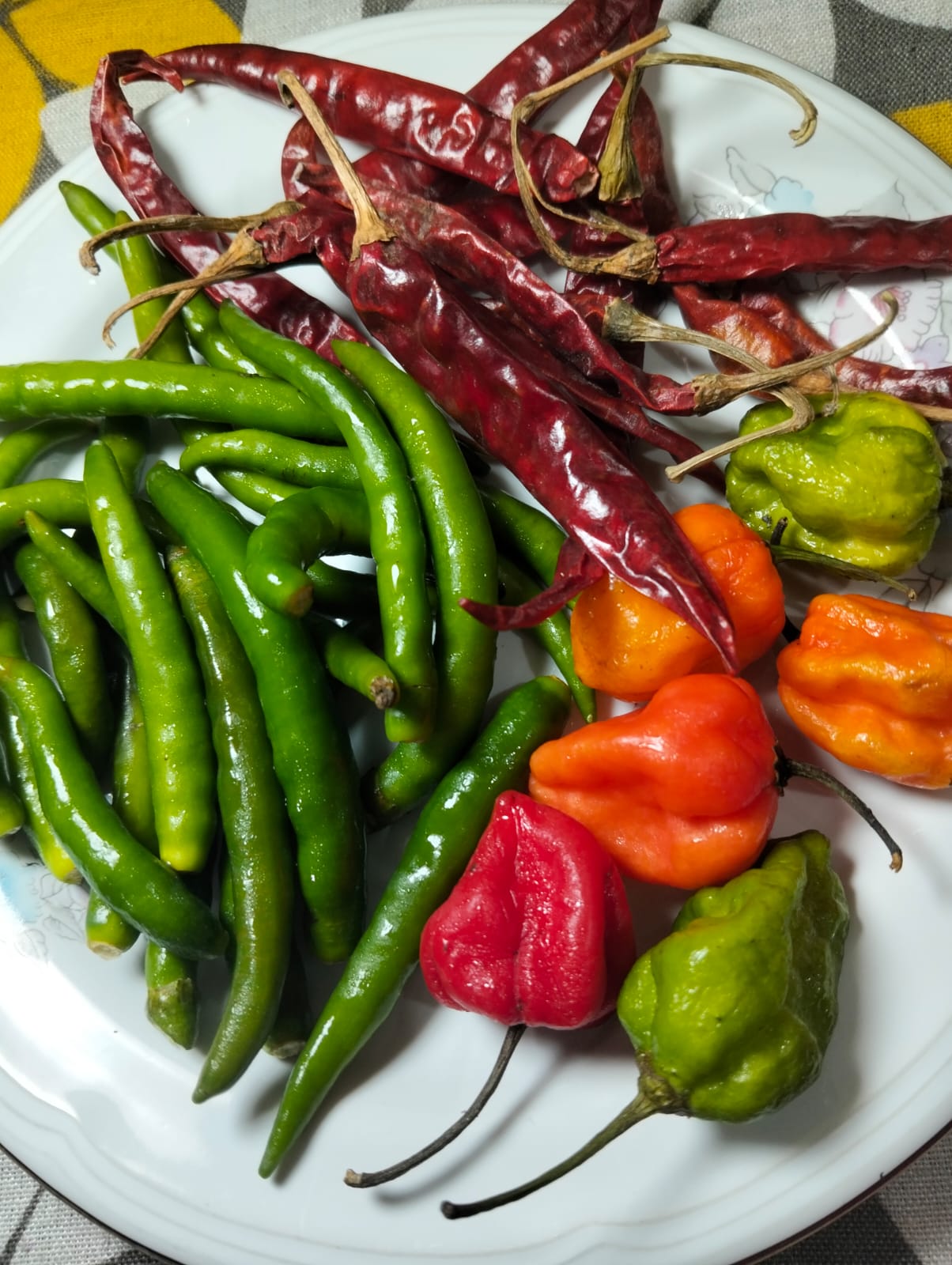 Types of Chili Peppers: A Heat Scale Guide