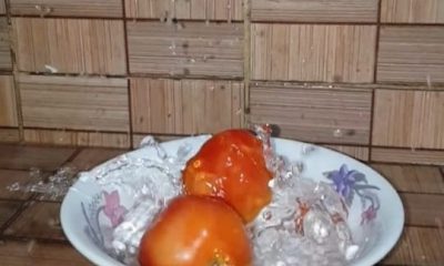 Tomato Varieties