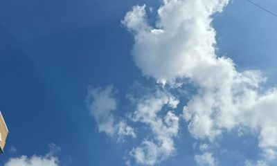 Vitamin D