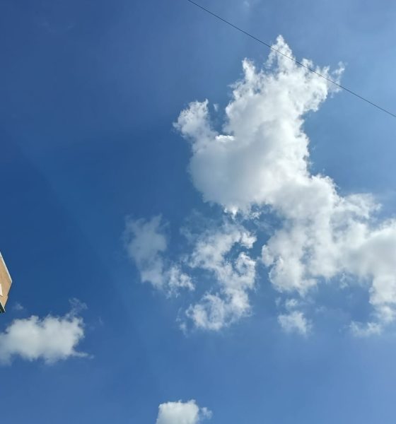 Vitamin D